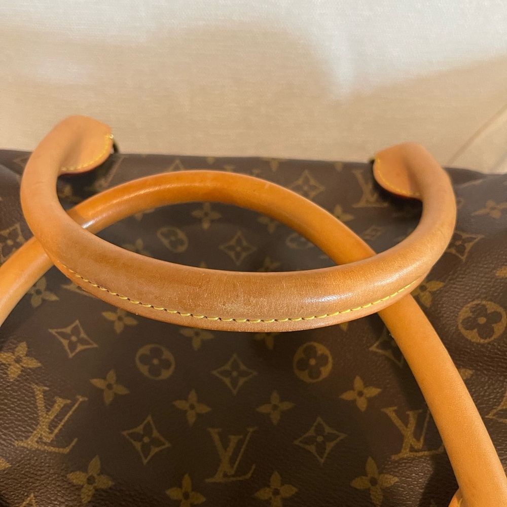 Authentic Louis Vuitton Sac Chien 40 Dog Carrier Monogram Pet Purse